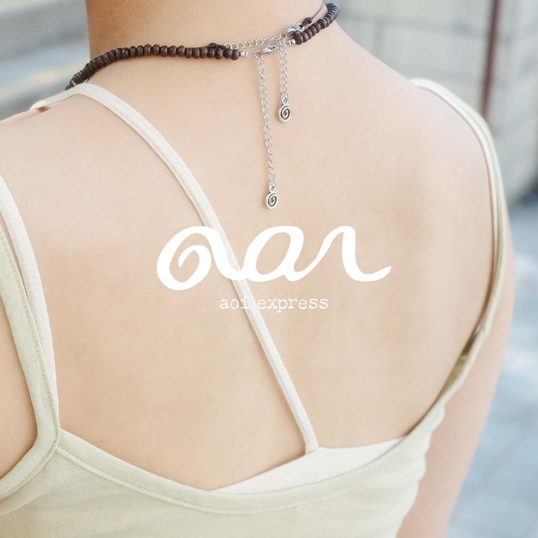 AOI EXPRESS — Brand Identity
